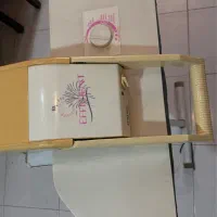 اتو بخار ایستاده فرانسوی رادکس