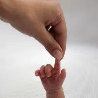 عکاس|خدمات پذیرایی، مراسم|تبریز, |دیوار
