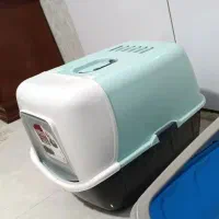 ظرف خاک گربه