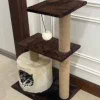 درخت گربه اسکرچر