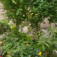 منزل-مسکونی