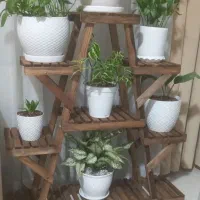 استند گل