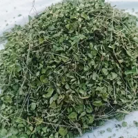 آویشن|گل و گیاه طبیعی|باغ ملک, |دیوار