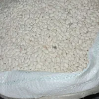لوبیا سفید خوراکی