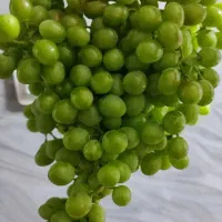 قوره