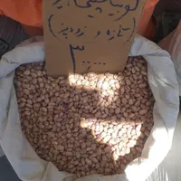 حبوبات|عمده‌فروشی|همدان, |دیوار