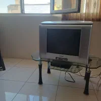 تلویزیون