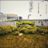 ۱۸۰متر زمین بافت مسکونی٪ دیوار کشی شده