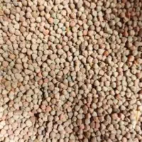 کسن منی یه تومن تخفیف نداره