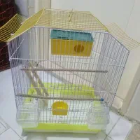 قفس پرنده زیبا