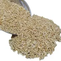 گندم درجه یک