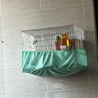 جوجه مرغ عشق ۱۲روزه
