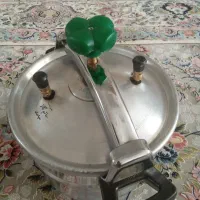دیگ زود پز