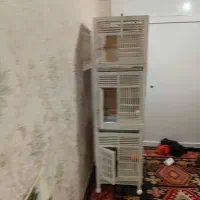 قفس چوبی طبقه دار چرخ دار بعلت جابجائی برای فروش