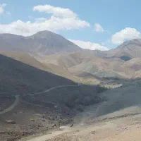 همنورد