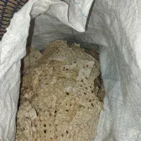 نون خشک برای فروش