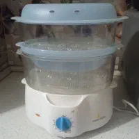 بخار پز