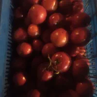 گوجه گوشتی مخصوص رب