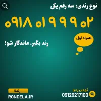 02 9 9 9 01 0918