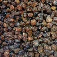 آلوچه خورشتی