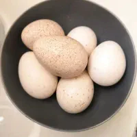 تخم مرغ
