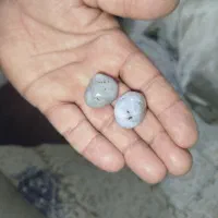 جفت مهره هبهاب