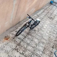 دوچرخه ۲۴ نو نو نو