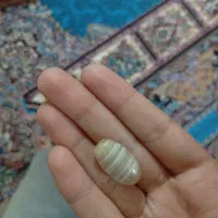 مهره برد