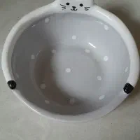 وسایل گربه