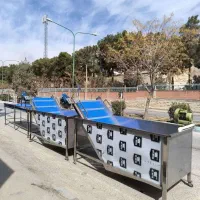 سیستم شستشو اتوماتیک میوه