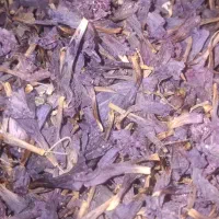 فروش|گل و گیاه طبیعی|نکا, |دیوار