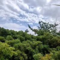 گروه کوهنوردی و طبیعت گردی