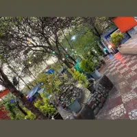 کارگر ساده کارگر رستوران کارگر