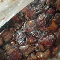 خرمامرداسنگ تازه وتمیز