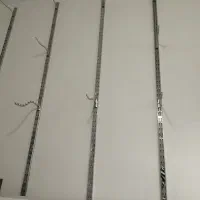 رگال ،ستون،اویز