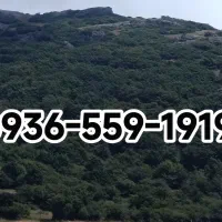 دائمی ایرانسل