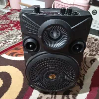 اسپیکر میکروفون دار