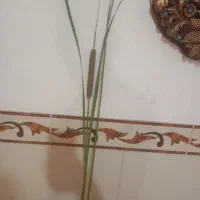 گل  نی زار تزینی