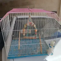 قفس پرنده