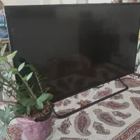 تلویزیون ۴۹ اینچ سینگل