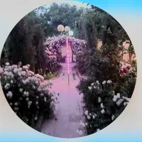 آپارتمان