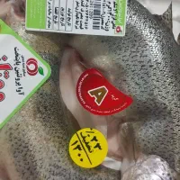 ماهی قزل آلابدون استخوان تازه مرغ تازه سینه مرغ
