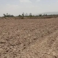 زمین کشاورزی