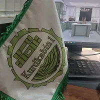 استخدام