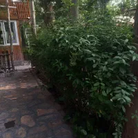 کمک حسابدار طرقبه