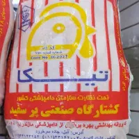 مرغ منجمد شمال