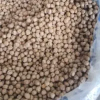 نخود تازه سفید و درشت