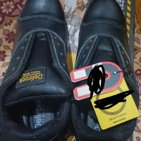 کفش کار