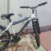 دوچرخه ویوا در حد نو