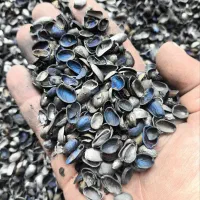 کرببن پوست پسته